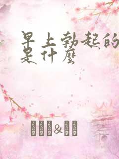 早上勃起的原因是什么