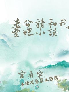 老公请和我谈恋爱吧小说