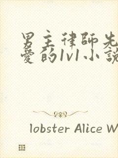 男主律师先婚后爱的1v1小说