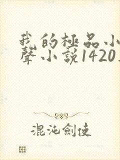 我的极品小姨有声小说1420集