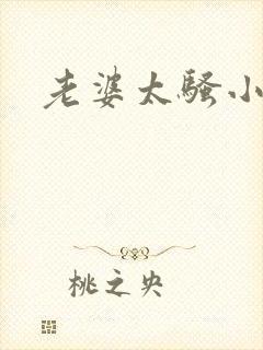 老婆太骚小说
