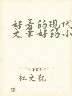 好看的现代言情文笔好的小说