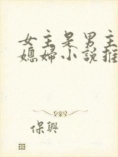 女主是男主的弟媳妇小说推荐