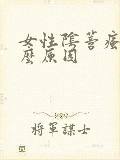 女性阴蒂瘙痒什么原因