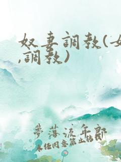 奴妻调教(女m,调教)