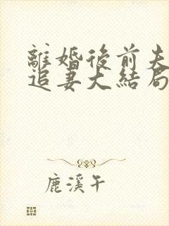 离婚后前夫日日追妻大结局