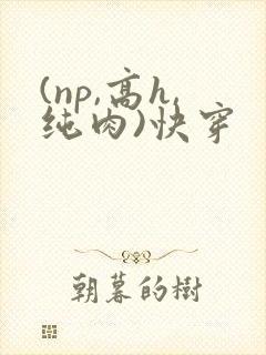 (np,高h,纯肉)快穿