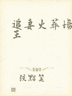 追妻火葬场双女主