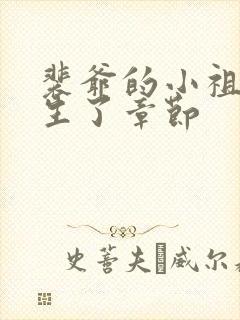 裴爷的小祖宗重生了章节