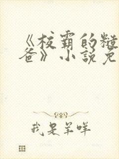 《校霸的糙汉爸爸》小说免费阅读