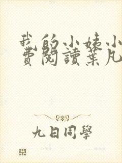 我的小姨小说免费阅读叶凡