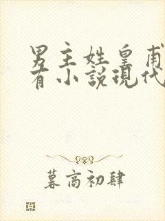 男主姓皇甫的所有小说现代言情