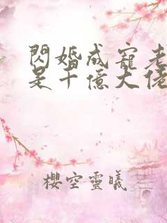 闪婚成宠老公竟是千亿大佬免费