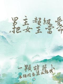 男主超级爱女主,把女主当命的古言