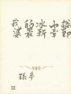 我的冰山总裁老婆最新章节阅读