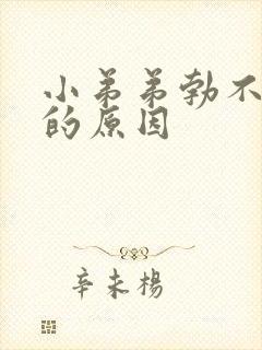 小弟弟勃不起来的原因