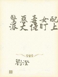 惊恶毒女配被反派大佬盯上小说