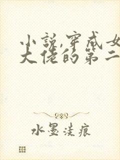 小说,穿成女装大佬的第二人格