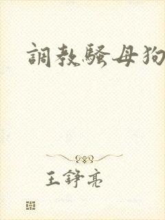 调教骚母狗奶子