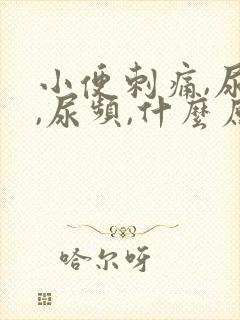 小便刺痛,尿急,尿频,什么原因引起