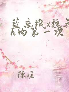 蓝忘机x魏无羡h肉第一次