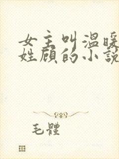 女主叫温暖男主姓顾的小说