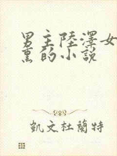 男主陆泽女主乔熏的小说