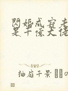 闪婚成宠老公竟是千亿大佬免费阅读笔趣阁