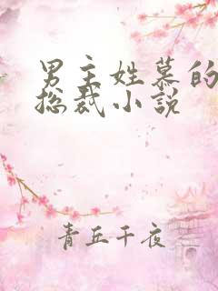 男主姓慕的所有总裁小说