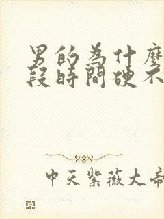 男的为什么有一段时间硬不起来