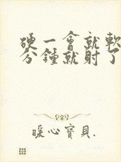 硬一会就软 几分钟就射了