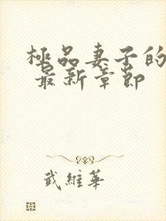 极品妻子的秘密 最新章节