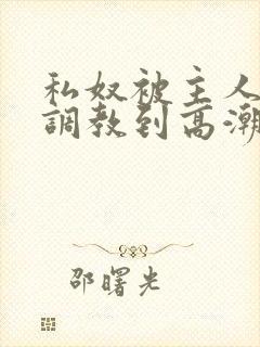 私奴被主人玩弄调教到高潮小说