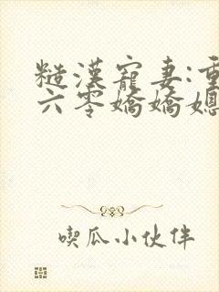 糙汉宠妻:重生六零娇娇媳在线阅读