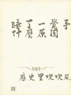 睡了一觉手麻是什么原因