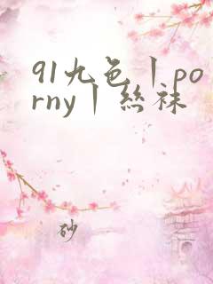 91九色丨porny丨丝袜