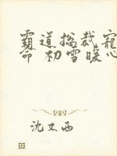 霸道总裁宠妻如命 初雪暖心