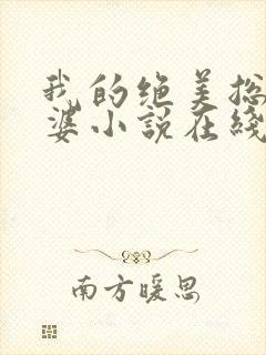 我的绝美总裁老婆小说在线阅读