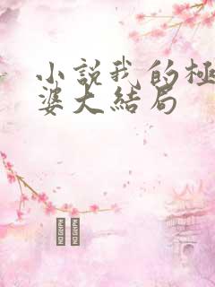 小说我的极品老婆大结局