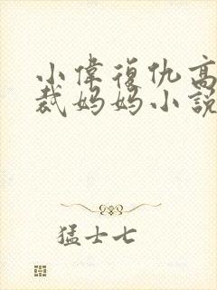 小伟复仇高冷总裁妈妈小说