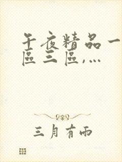 午夜精品一区二区三区,…