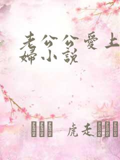 老公公爱上儿媳妇小说