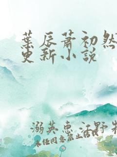 叶辰萧初然免费更新小说
