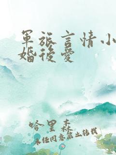 军旅言情小说先婚后爱