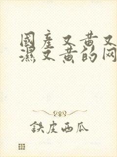 国产又黄又硬又湿又黄的网站