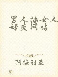 男人插女人好大好爽网站