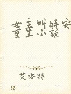 女主叫时安夏的重生小说