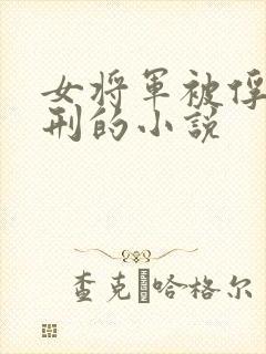 女将军被俘用笑刑的小说
