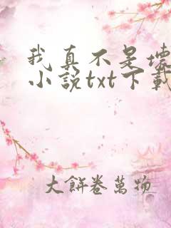 我真不是坏男人小说txt下载