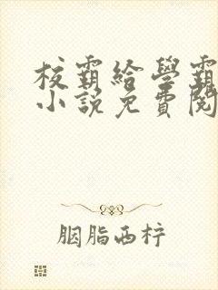 校霸给学霸舔批小说免费阅读